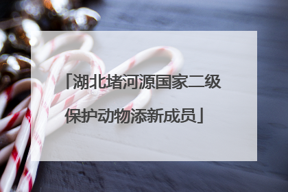 湖北堵河源国家二级保护动物添新成员