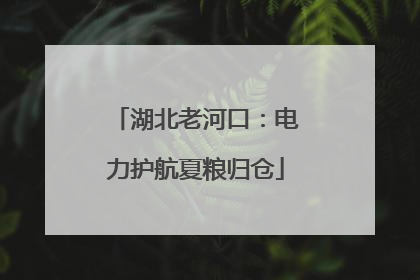 湖北老河口：电力护航夏粮归仓