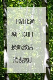 湖北通城：以旧换新激活消费热