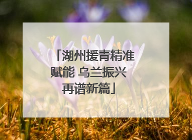 湖州援青精准赋能 乌兰振兴再谱新篇