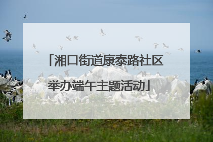 湘口街道康泰路社区举办端午主题活动