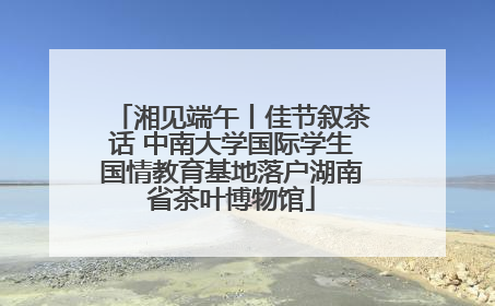 湘见端午丨佳节叙茶话 中南大学国际学生国情教育基地落户湖南省茶叶博物馆
