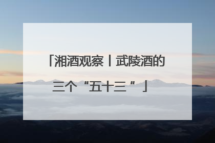 湘酒观察丨武陵酒的三个“五十三 ”