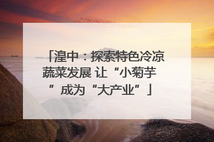 湟中：探索特色冷凉蔬菜发展 让“小菊芋”成为“大产业”