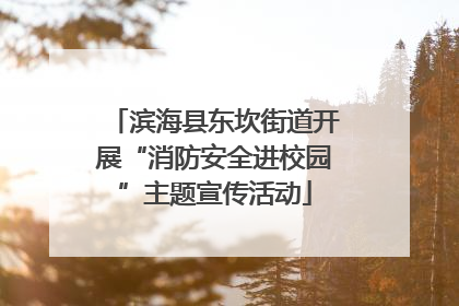 滨海县东坎街道开展“消防安全进校园”主题宣传活动