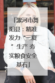 漯河市舞阳县：精准发力“三夏”生产 夯实粮食安全基石