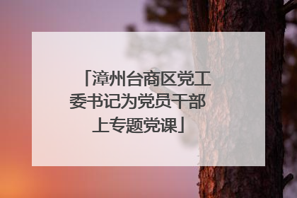 漳州台商区党工委书记为党员干部上专题党课