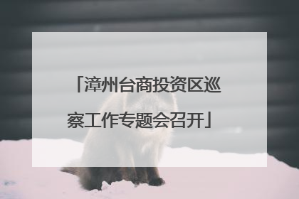漳州台商投资区巡察工作专题会召开