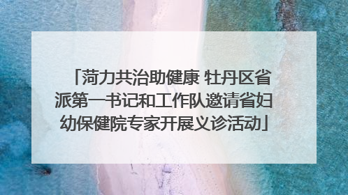 菏力共治助健康 牡丹区省派第一书记和工作队邀请省妇幼保健院专家开展义诊活动