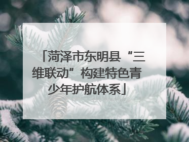 菏泽市东明县“三维联动”构建特色青少年护航体系