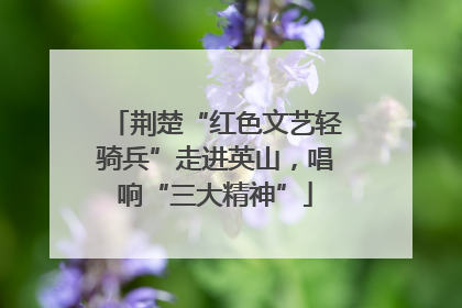 荆楚“红色文艺轻骑兵”走进英山，唱响“三大精神”