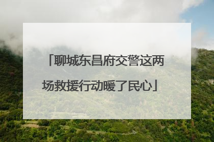 聊城东昌府交警这两场救援行动暖了民心