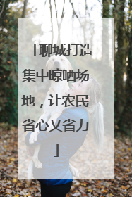 聊城打造集中晾晒场地，让农民省心又省力