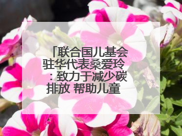 联合国儿基会驻华代表桑爱玲：致力于减少碳排放 帮助儿童适应气候变化
