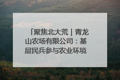 聚焦北大荒｜青龙山农场有限公司：基层民兵参与农业环境综合治理显效