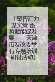 聚智汇力谋实策 蓄势赋能促发展——天津市发改委举行专题培训研讨活动
