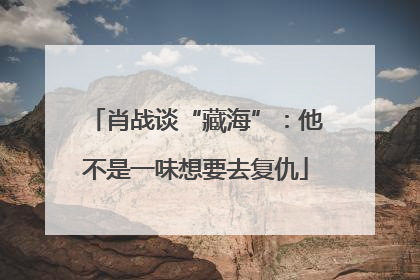 肖战谈“藏海”：他不是一味想要去复仇