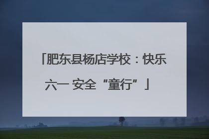 肥东县杨店学校：快乐六一 安全“童行”