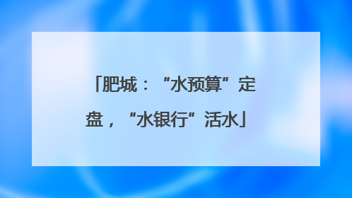 肥城：“水预算”定盘，“水银行”活水
