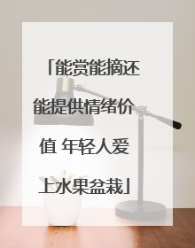 能赏能摘还能提供情绪价值 年轻人爱上水果盆栽