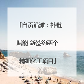 自贡沿滩：补链赋能 新签约两个精细化工项目