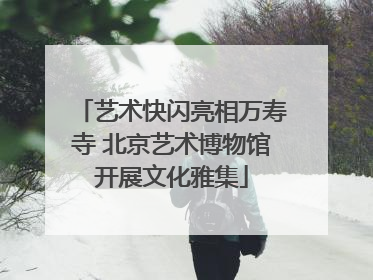 艺术快闪亮相万寿寺 北京艺术博物馆开展文化雅集