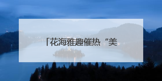 花海雅趣催热“美丽经济”——七台河市茄子河区芝樱文化旅游季启幕
