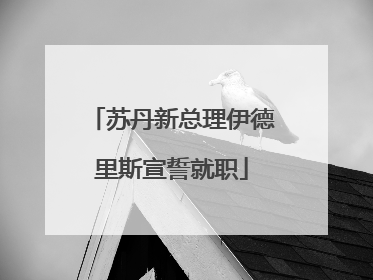 苏丹新总理伊德里斯宣誓就职