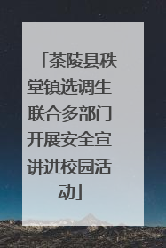 茶陵县秩堂镇选调生联合多部门开展安全宣讲进校园活动