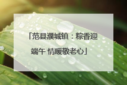 范县濮城镇：粽香迎端午 情暖敬老心