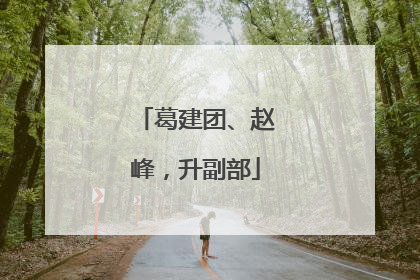 葛建团、赵峰，升副部