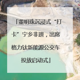 董明珠沉浸式“打卡”宁乡非遗，出席格力钛新能源公交车投放启动式
