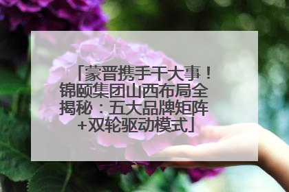 蒙晋携手干大事！锦颐集团山西布局全揭秘：五大品牌矩阵+双轮驱动模式