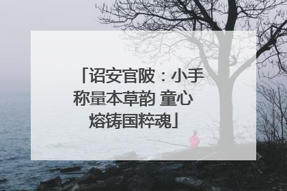 诏安官陂：小手称量本草韵 童心熔铸国粹魂