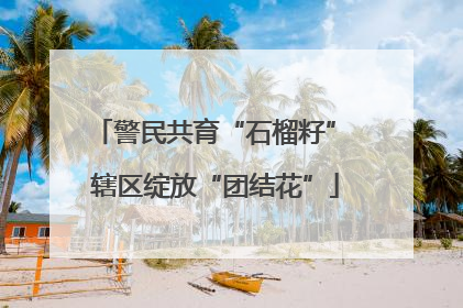 警民共育“石榴籽” 辖区绽放“团结花”