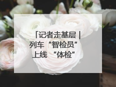 记者走基层｜列车“智检员”上线 “体检”缩短半小时