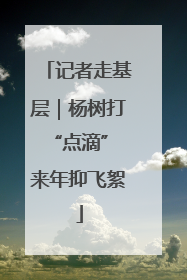 记者走基层｜杨树打“点滴” 来年抑飞絮