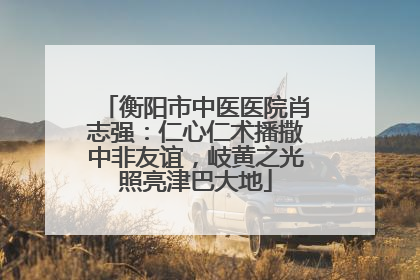 衡阳市中医医院肖志强：仁心仁术播撒中非友谊，岐黄之光照亮津巴大地