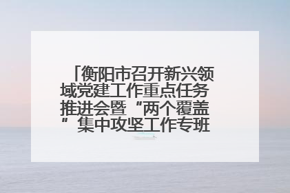 衡阳市召开新兴领域党建工作重点任务推进会暨“两个覆盖”集中攻坚工作专班 第一次会议