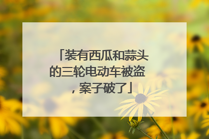 装有西瓜和蒜头的三轮电动车被盗，案子破了