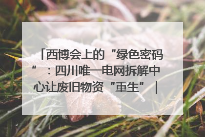 西博会上的“绿色密码”：四川唯一电网拆解中心让废旧物资“重生”｜西博寻“新”记