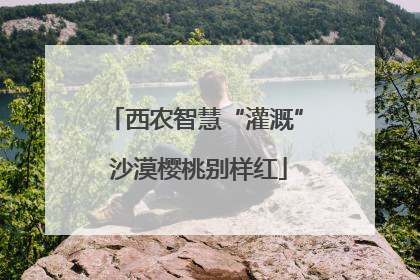 西农智慧“灌溉” 沙漠樱桃别样红