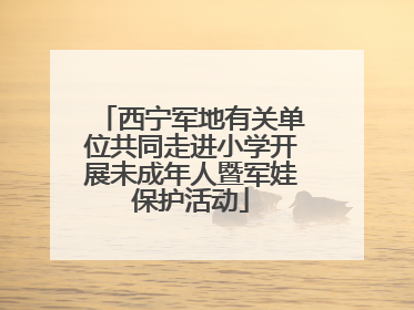 西宁军地有关单位共同走进小学开展未成年人暨军娃保护活动
