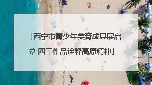 西宁市青少年美育成果展启幕 四千作品诠释高原精神