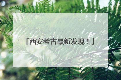 西安考古最新发现！
