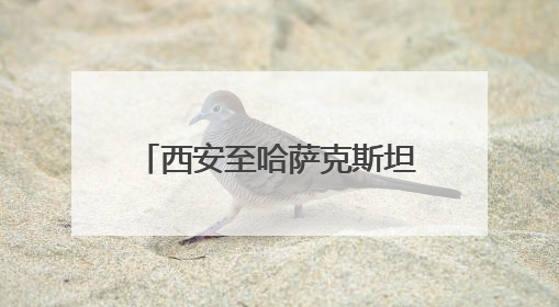 西安至哈萨克斯坦奇姆肯特航线发布