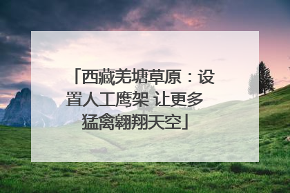 西藏羌塘草原：设置人工鹰架 让更多猛禽翱翔天空