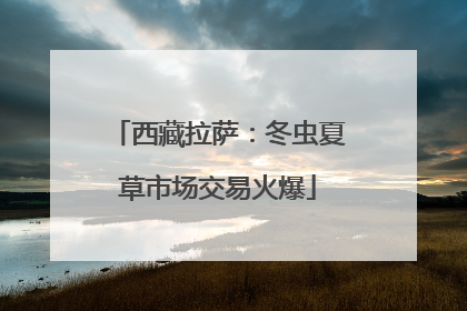 西藏拉萨：冬虫夏草市场交易火爆