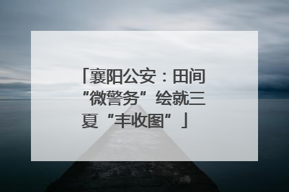 襄阳公安：田间“微警务”绘就三夏“丰收图”