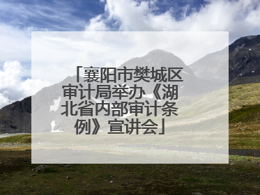 襄阳市樊城区审计局举办《湖北省内部审计条例》宣讲会